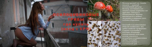 мяу мяу мука Белоозёрский