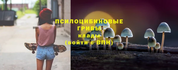 мет Богданович