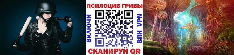 даркнет сайт  Малая Вишера  Псилоцибиновые грибы Magic Shrooms 